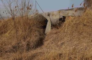 律师解读：邯郸三名13岁初中生杀害同班同学，需要承担刑事责任吗？-陈晓峰律师网