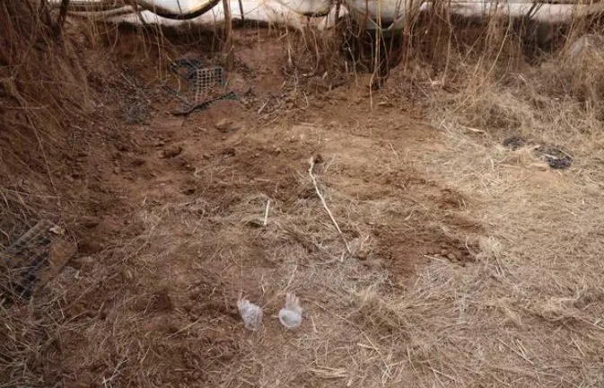 图片[2]-律师解读：邯郸三名13岁初中生杀害同班同学，需要承担刑事责任吗？-陈晓峰律师网