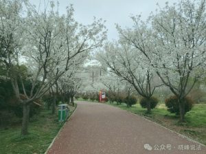 葛天律师，漫步葛天源-陈晓峰律师网