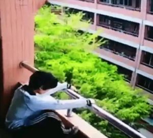 中学生跳楼警示，长葛陈晓峰律师法律解读与反思-陈晓峰律师网