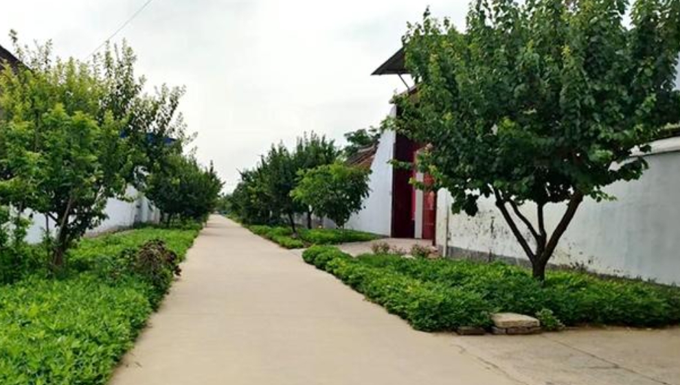 长葛人必看！南席镇这些法律误区你竟然不知道？陈晓峰律师揭秘5大类案件真相-陈晓峰律师网