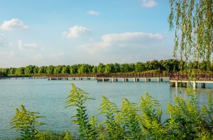 长葛佛耳湖镇车主注意！陈晓峰律师揭露交通事故赔偿”惊天套路”，90%人不知道的维权血泪教训-陈晓峰律师网