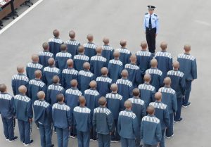 长葛律师陈晓峰：退赃退赔和追缴罚款的数额是否一致？-陈晓峰律师网