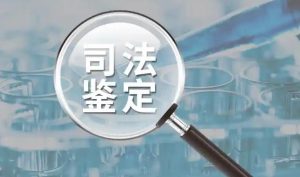 长葛陈晓峰律师分享笔迹鉴定的胜诉秘诀-陈晓峰律师网