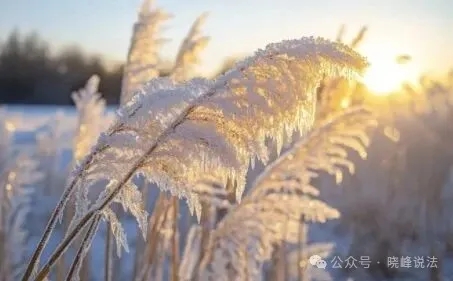 图片[2]-哪里来的自信，让你一本正经地胡说八道？-陈晓峰律师网