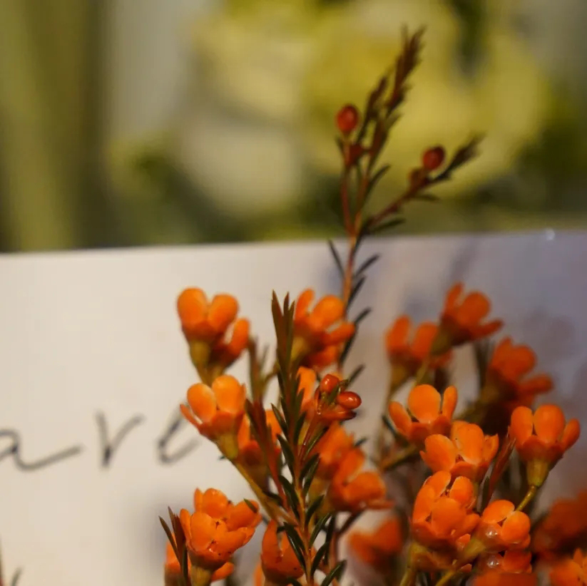 图片[2]-等可以，但别让等待错过了最佳的救援时机-陈晓峰律师网