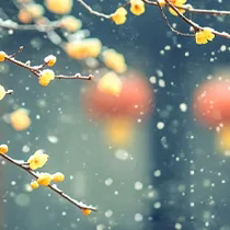 图片[3]-等可以，但别让等待错过了最佳的救援时机-陈晓峰律师网