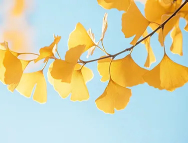 图片[1]-等可以，但别让等待错过了最佳的救援时机-陈晓峰律师网